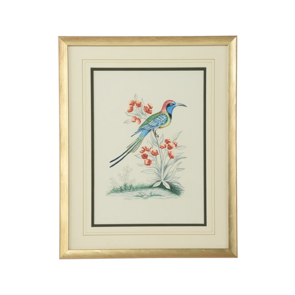 Chelsea House Cain Hand-Painted Birds Watercolor By Bill Cain In Gold Wood Frame — Elegant Ready-To-Hang 20X16 Art (Framed) 387223
