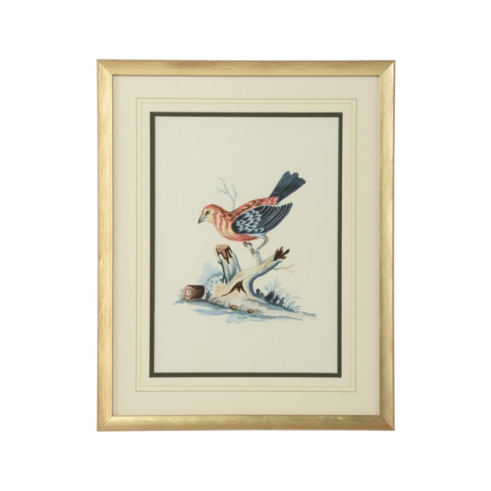 Chelsea House Cain Birds D Hand-Painted Bill Cain Watercolor Of Birds In Gold Wood Frame, 20X16" Ready-To-Display Artpiece 387224