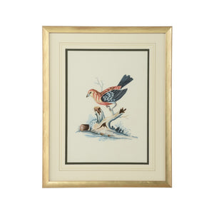 Chelsea House Cain Birds D Hand-Painted Bill Cain Watercolor Of Birds In Gold Wood Frame, 20X16" Ready-To-Display Artpiece 387224