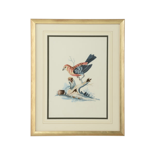 Chelsea House Cain Birds D Hand-Painted Bill Cain Watercolor Of Birds In Gold Wood Frame, 20X16" Ready-To-Display Artpiece 387224