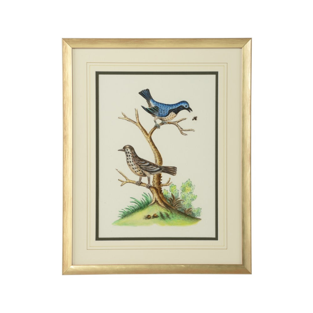 Chelsea House Cain Birds E Original Watercolor By Bill Cain — Hand-Painted Avian Study In Gilt Gold Frame, 20X16" 387225