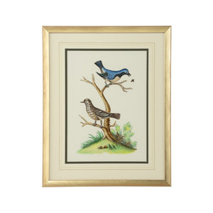 Chelsea House Cain Birds E Original Watercolor By Bill Cain — Hand-Painted Avian Study In Gilt Gold Frame, 20X16" 387225