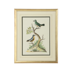 Chelsea House Cain Hand-Painted Watercolor Birds By Bill Cain In Champagne Gold Wood Frame, 20"X16" Ready-To-Hang 387226