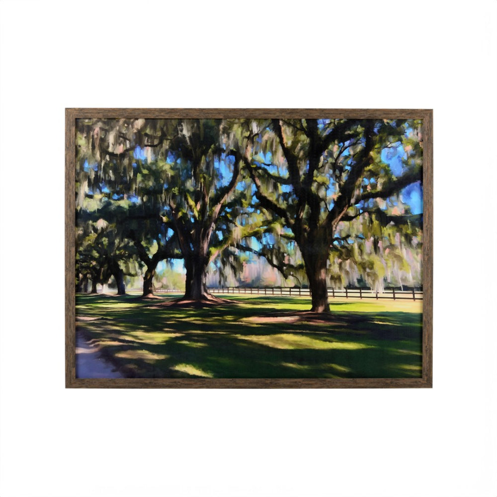 Chelsea House Old Oaks GicléE On Canvas By Trisha Ferguson — Large 48X63" Framed Natural Wood Landscape For Living Rooms, Office Decor, Gallery-Quality Elegance 387238