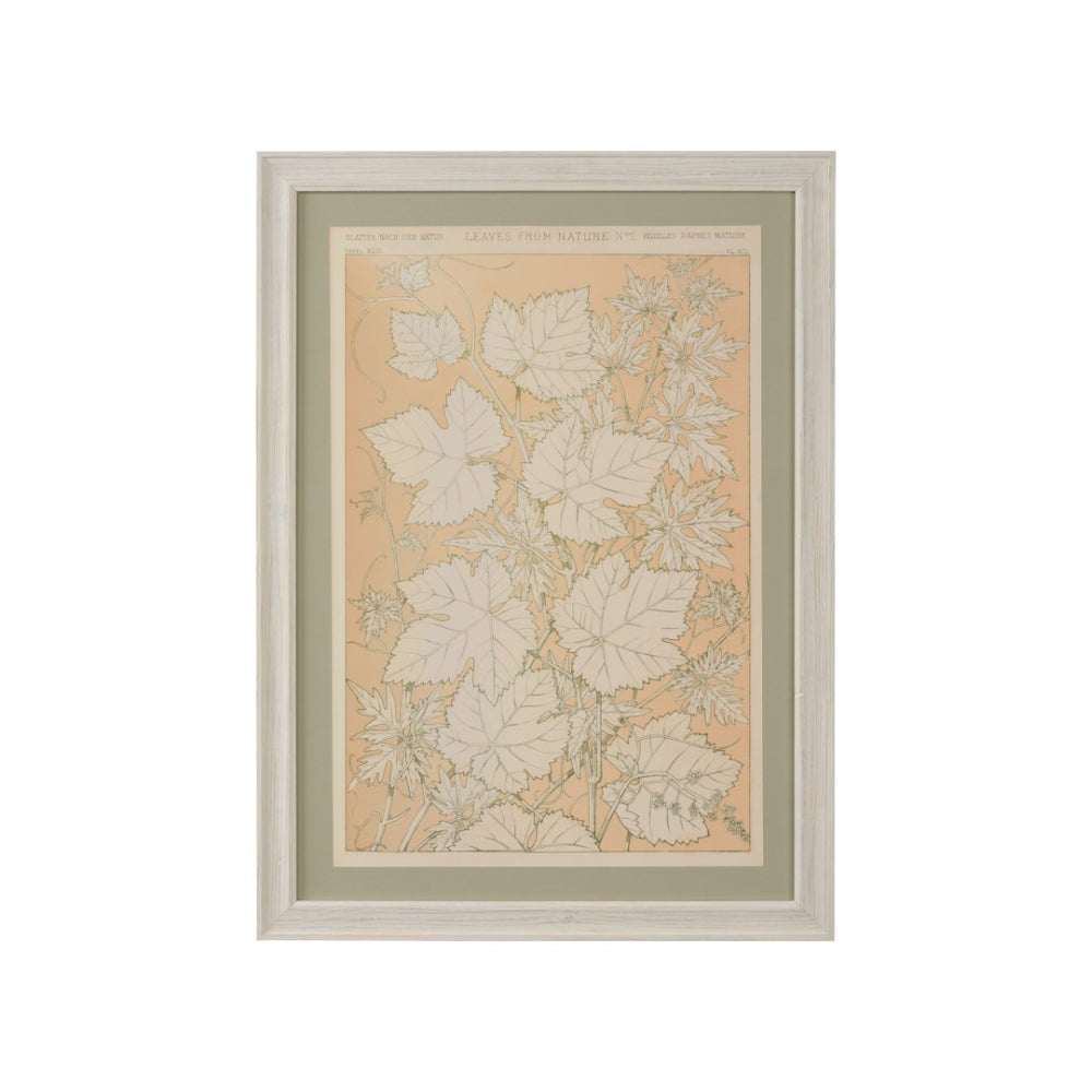Chelsea House Leaves Vintage Botanical GicléE Print - Chelsea House X Winterthur Museum, Framed 29" H Art Decor 387242