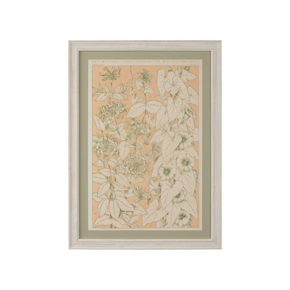 Chelsea House Leaves Vintage Botanical Print From Winterthur — Owen Jones Inspired GicléE, Whitewashed Sage Frame, Ready To Hang 387244