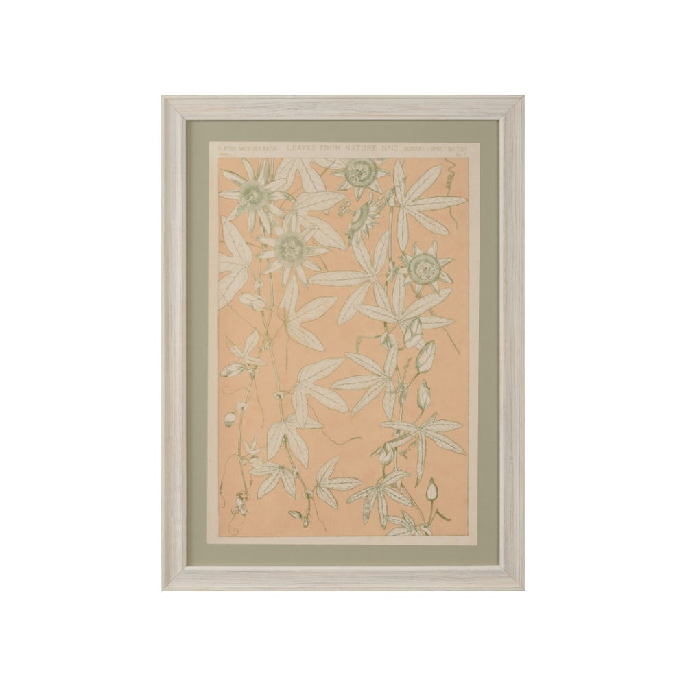 Chelsea House Leaves Vintage Botanical Print From Winterthur — Owen Jones Reproduction, Sage Mat, Museum-Grade Art (29" X 21") 387245