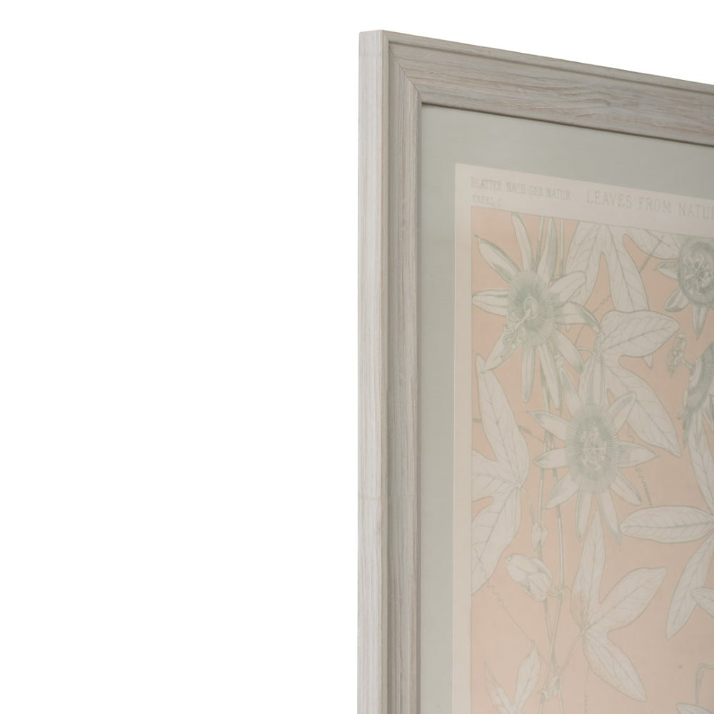 Chelsea House Leaves Vintage Botanical Print From Winterthur — Owen Jones Reproduction, Sage Mat, Museum-Grade Art (29" X 21") 387245