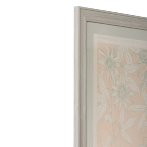 Chelsea House Leaves Vintage Botanical Print From Winterthur — Owen Jones Reproduction, Sage Mat, Museum-Grade Art (29" X 21") 387245