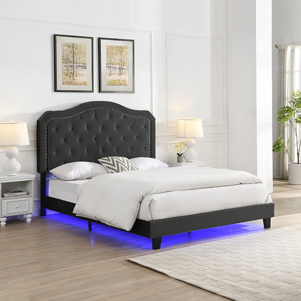 English Elm Upholstered Diamond Button Tufted Platform Bed with Velvet, LED Ambient Lighting, Sturdy Slats Black 65.75 L x 34.43 W x 4.72 H W2297P268385