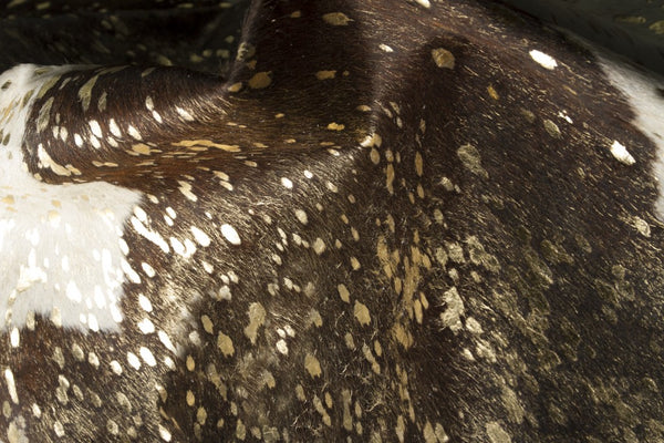 Homeroots 6' X 7' Dark Brown White And Gold Natural Cowhide Area Rug  Cowhide 388526