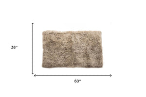 HomeRoots 3' X 5' Taupe Genuine Sheepskin Area Rug - Luxurious New Zealand Softness for Cozy Home Decor 388538
