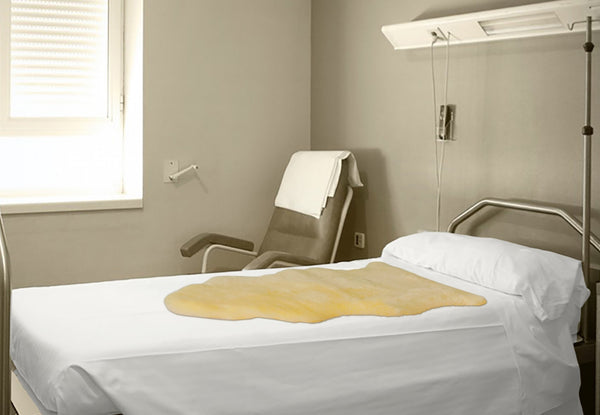 Homeroots 2" X 4" Natural Off White Medical Grade Sheepskin Throw Blanket  Sheepskin 388645