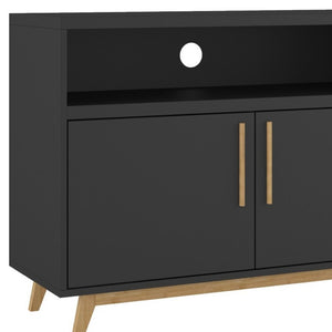 HomeRoots Modern Two-Door Console Cabinet - Stylish Black & Natural Accent for Versatile Storage & Display Solutions 389027