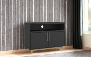 HomeRoots Modern Two-Door Console Cabinet - Stylish Black & Natural Accent for Versatile Storage & Display Solutions 389027