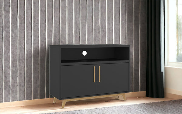 HomeRoots Modern Two-Door Console Cabinet - Stylish Black & Natural Accent for Versatile Storage & Display Solutions 389027