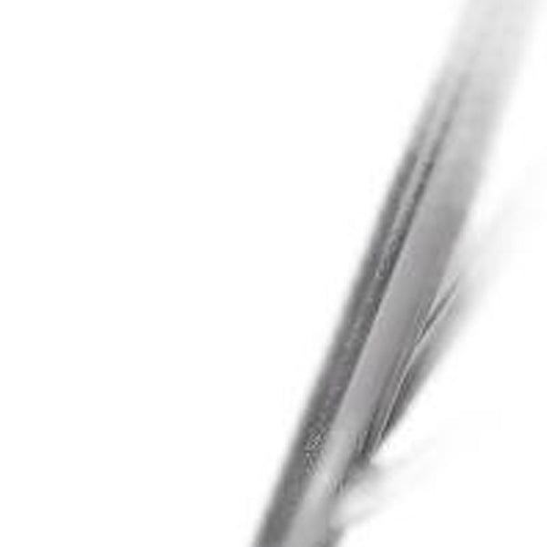 Homeroots 18" White And Silver Faux Leather Side Chair   389596