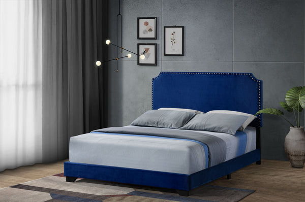 English Elm Haemon Blue Velvet Queen Bedframe — Fully Upholstered Poplar & LVL, Nailhead Trim, 660lb Capacity B2726P342796