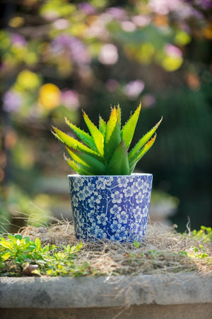 English Elm Set of 4 Terracotta Planters Distressed Blue White Glaze Antique Ceramic Style W2078P495142