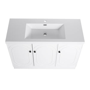 English Elm 48" Freestanding Bathroom Vanity with Thick Resin Sink, Soft-Close Doors, Adjustable Shelves, Durable Finish White W999S00275