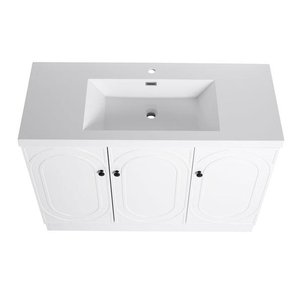 English Elm 48" Freestanding Bathroom Vanity with Thick Resin Sink, Soft-Close Doors, Adjustable Shelves, Durable Finish White W999S00275