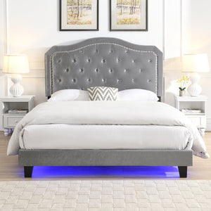 English Elm Upholstered Queen Platform Bed Grey Velvet Tufted Curved Headboard with Led Lighting W311P228694