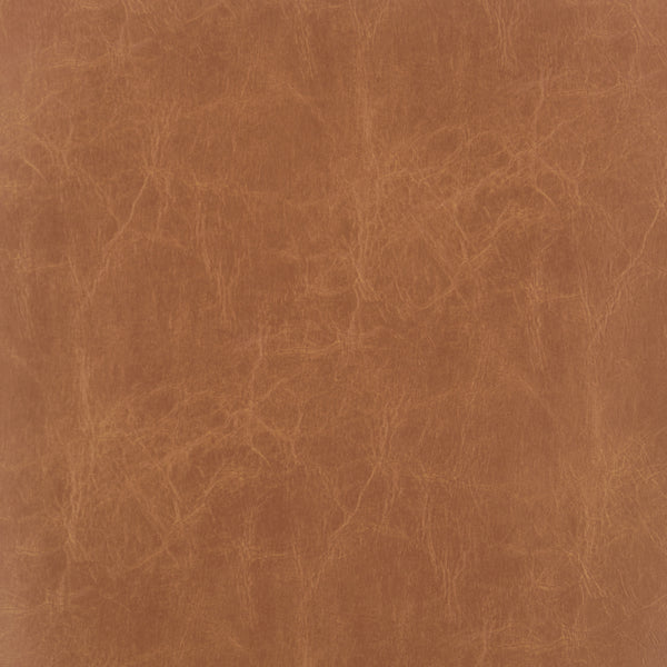 Eldoris PU Dining Side Chair - Set of 2 Borneo Chocolate, Brown 3900115-601 New Pacific Direct