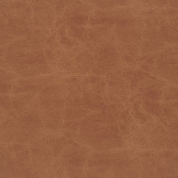 Donna PU Counter Stool - Set of 2 Borneo Chocolate, Brown 3900117-601 New Pacific Direct