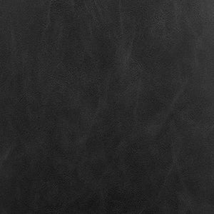 New Pacific Direct Hailey Faux Leather Dining Side Chair Set Of 2 - Sleek, Modern Design In Casa Black, Beige, Green Casa Black  3900132-662-npd