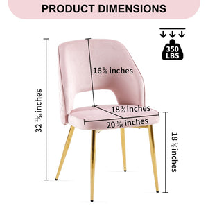 English Elm Pink Velvet Upholstered Dining Chairs with Gold Legs and Hollow Back Set of 2 W1164P271252