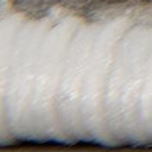 Homeroots 13' Runner Gray And Ivory Abstract Dhurrie Runner Rug  Polypropylene 390607