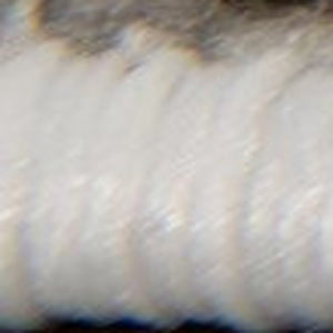 Homeroots 15' Gray And Ivory Abstract Dhurrie Runner Rug  Polypropylene 390608