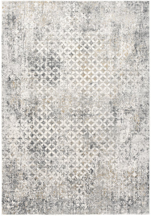 Homeroots 4' X 6' Gray And Ivory Distressed Area Rug  Viscose 391774