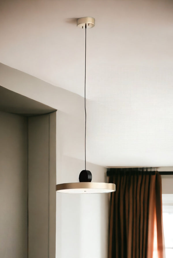 Homeroots Gold Shaded Metal Led Dimmable Ceiling Light   391919