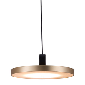 Homeroots Gold Shaded Metal Led Dimmable Ceiling Light   391919