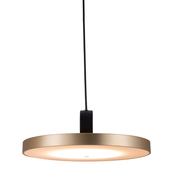 Homeroots Gold Shaded Metal Led Dimmable Ceiling Light   391919
