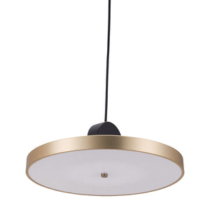 Homeroots Gold Shaded Metal Led Dimmable Ceiling Light   391919