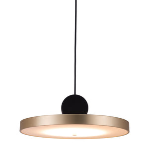 Homeroots Gold Shaded Metal Led Dimmable Ceiling Light   391919