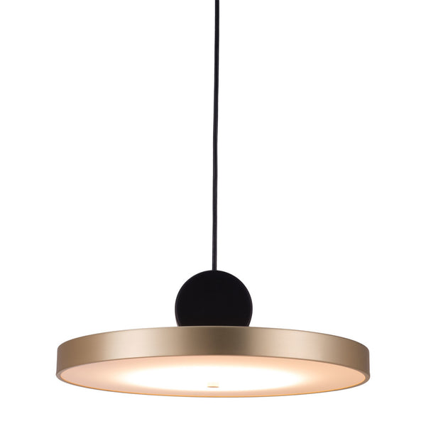 Homeroots Gold Shaded Metal Led Dimmable Ceiling Light   391919