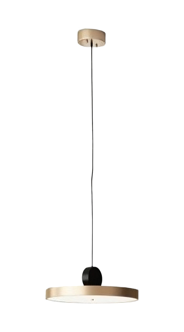 Homeroots Gold Shaded Metal Led Dimmable Ceiling Light   391919