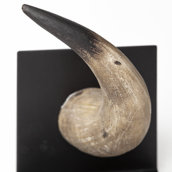 Homeroots Set Of Two 6" Brown And Black Ceramic Horn Decorative Bookends  Ceramic 392132