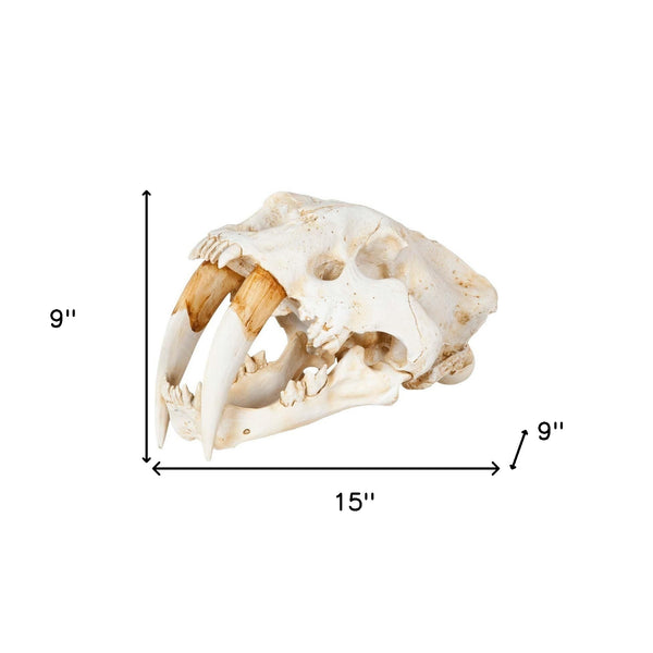 Homeroots Authentic Replica Sabertooth Skull Sculpture  Metal 392417