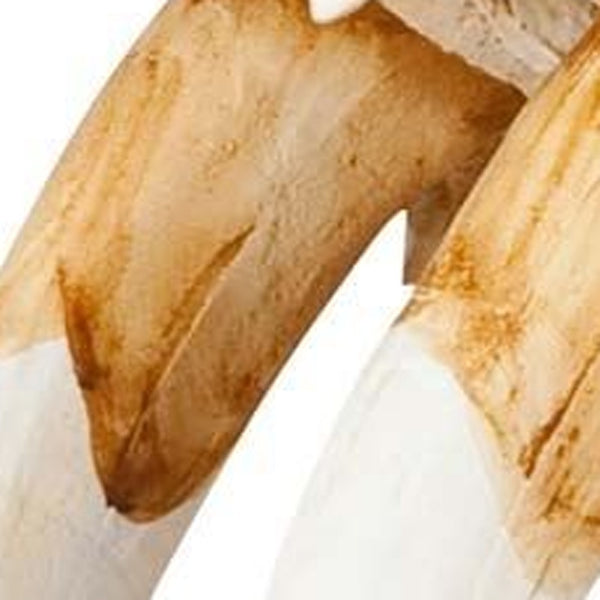 Homeroots Authentic Replica Sabertooth Skull Sculpture  Metal 392417