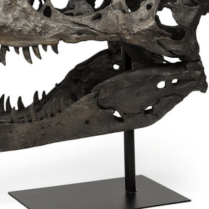 Homeroots Authentic Replica T Rex Skull Sculpture  Polyresin 392483