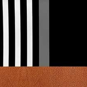 Homeroots Set Of 4 Brown And Black Printed Pillow Covers   392652