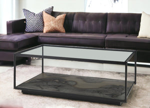 Homeroots 48" Clear And Black Glass And Wood Coffee Table With Shelf   393179