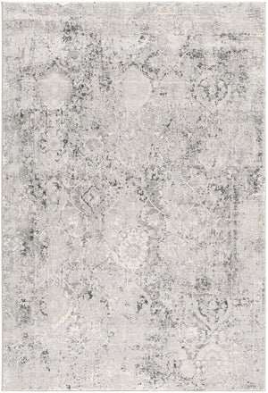 HomeRoots 4' Gray and Ivory Abstract Power Loom Area Rug for Modern Elegance in Living Rooms and Offices 4' X 6' 393227