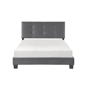 English Elm 1pc Full Platform Bed Newberry Brown Velvet Upholstered Button-Tufted Adjustable Headboard, Solid Wood Frame Dark Gray 60 L x 26 W x 5 H B011P203578