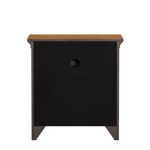 Arlene Nightstand with Drawer Cabinet and Built-in Usb Charging Ports for Bedroom