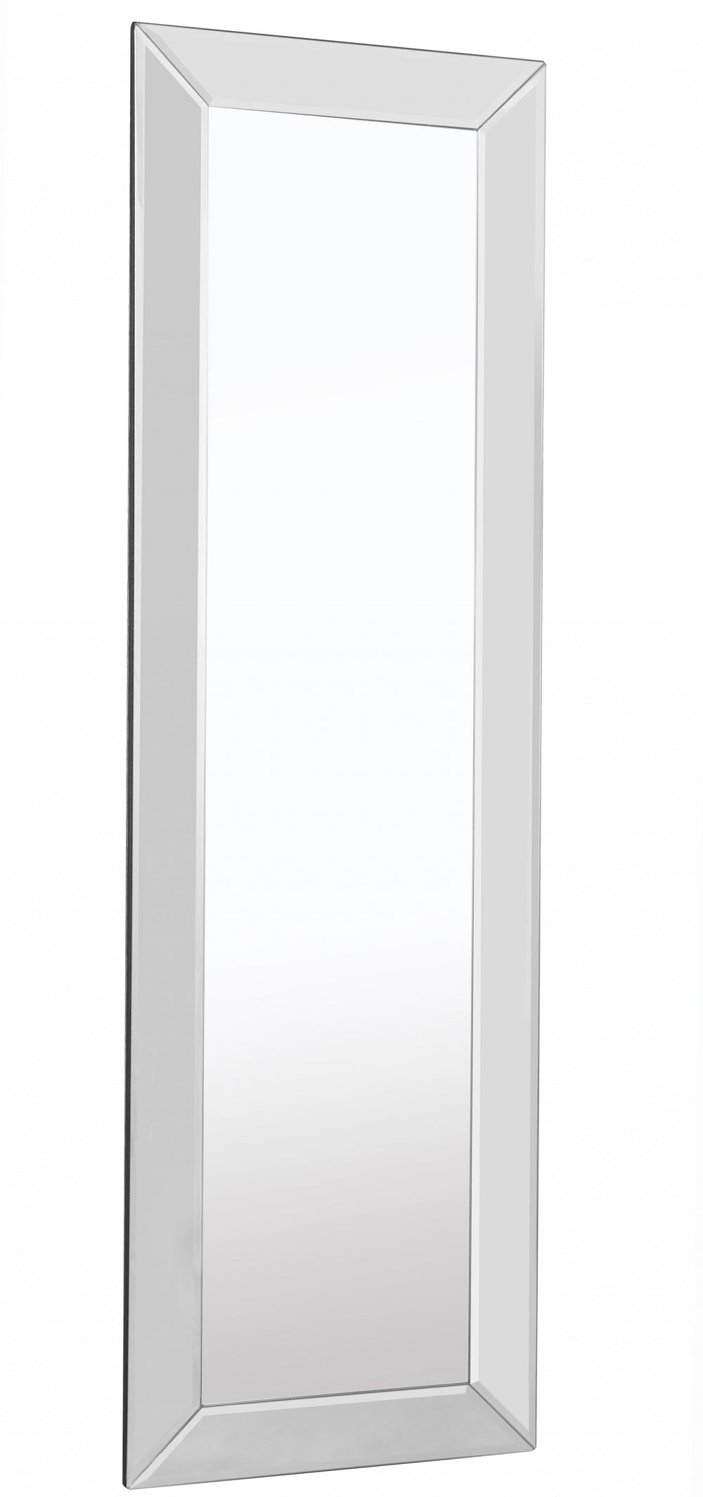 Homeroots Clear Rectangle Full Length Hanging Glass Mirror  Glass 396584